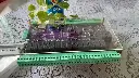 z6630233415608_eca64a7c8e2ae9b8f93803c304b8b226.webp